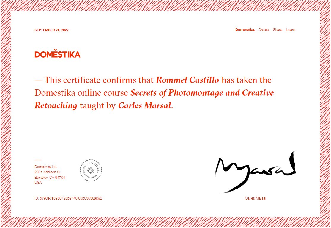 UI/UX Web Designer Certificate